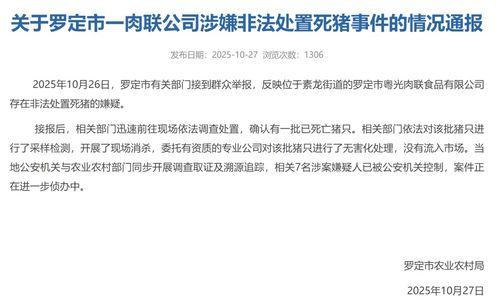 广东官方爆料新闻网站,聚焦时事热点，解码民生关切  第2张